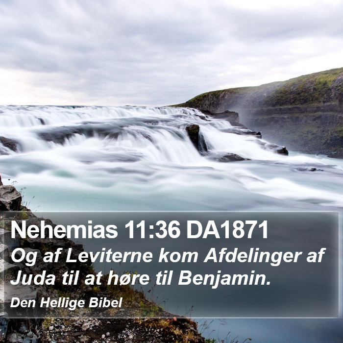 Nehemias 11:36 DA1871 Bible Study