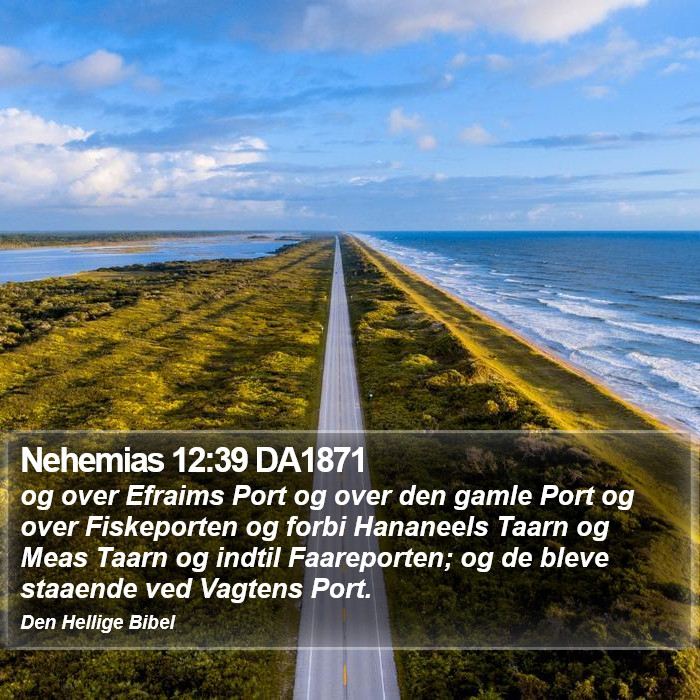 Nehemias 12:39 DA1871 Bible Study