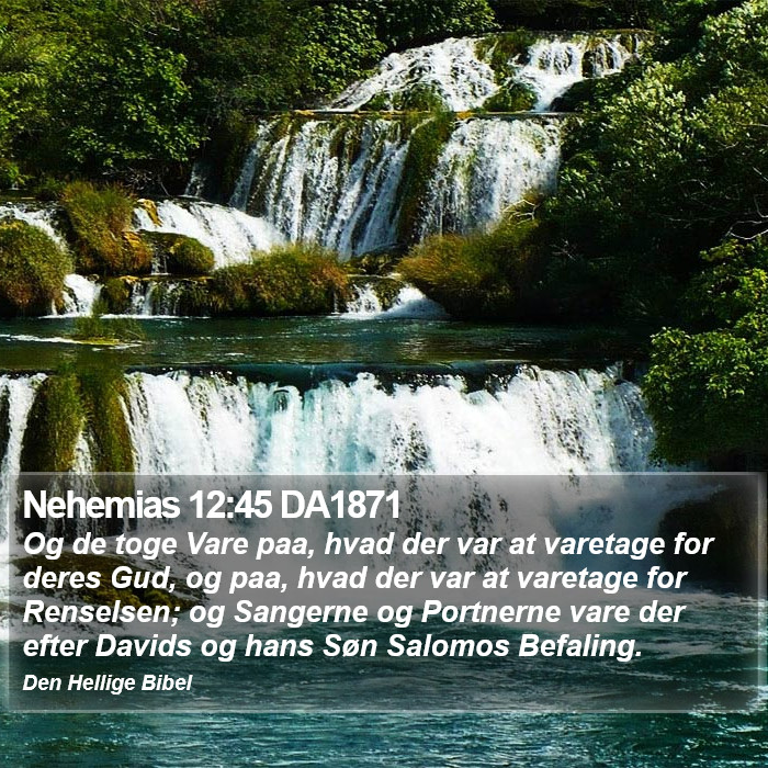 Nehemias 12:45 DA1871 Bible Study