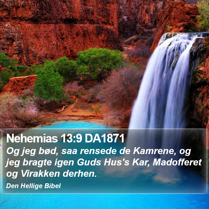 Nehemias 13:9 DA1871 Bible Study