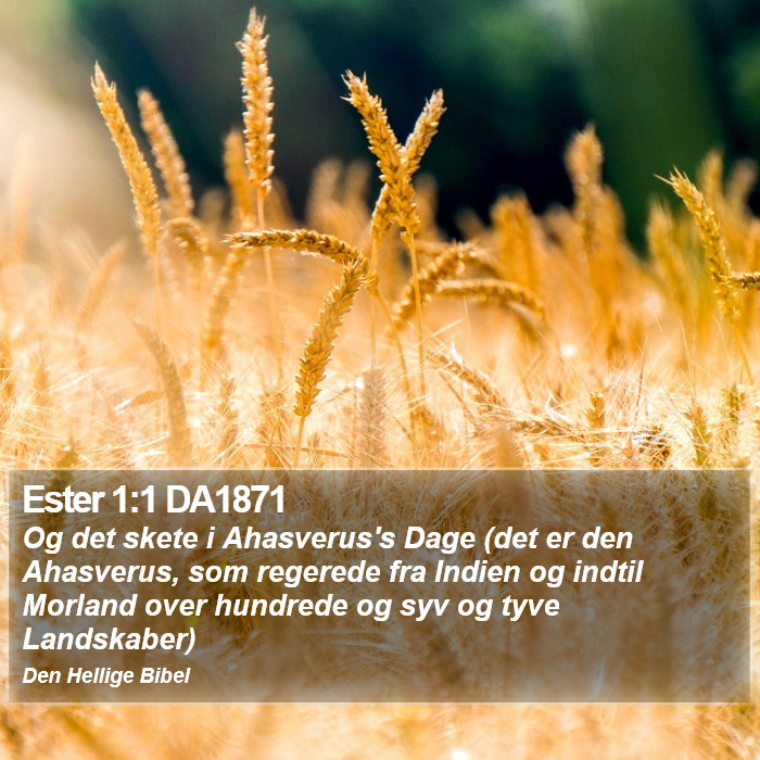 Ester 1:1 DA1871 Bible Study