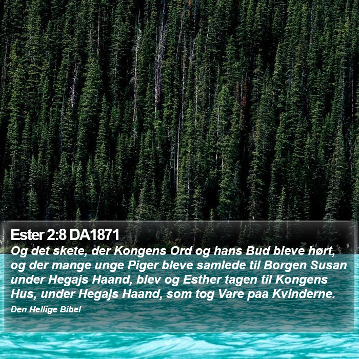 Ester 2:8 DA1871 Bible Study