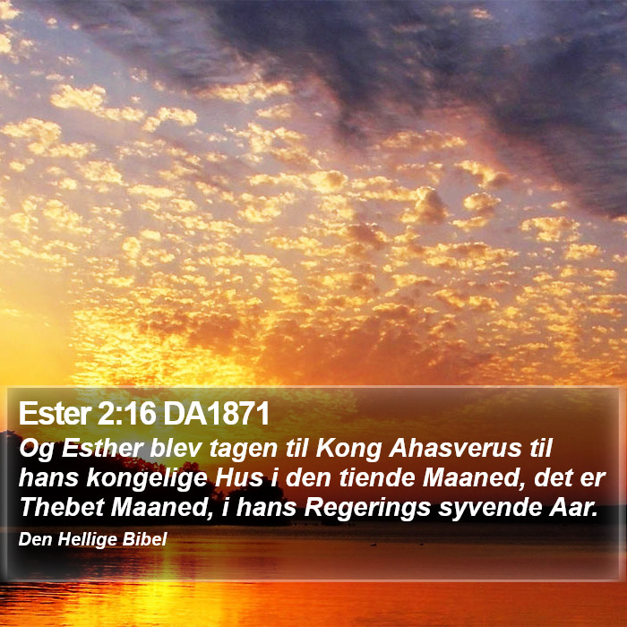 Ester 2:16 DA1871 Bible Study