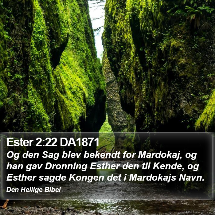 Ester 2:22 DA1871 Bible Study