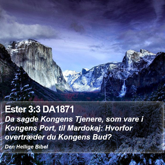 Ester 3:3 DA1871 Bible Study