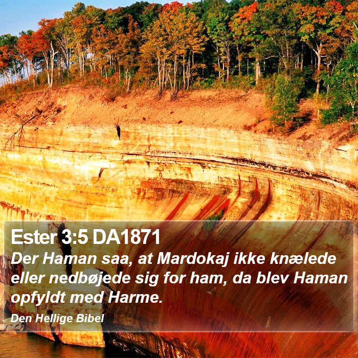 Ester 3:5 DA1871 Bible Study