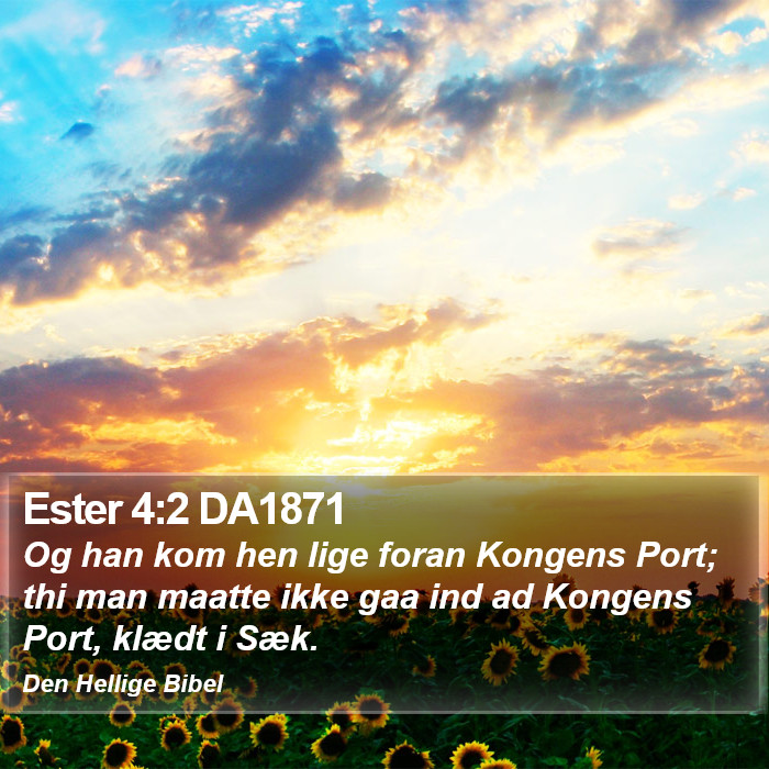Ester 4:2 DA1871 Bible Study