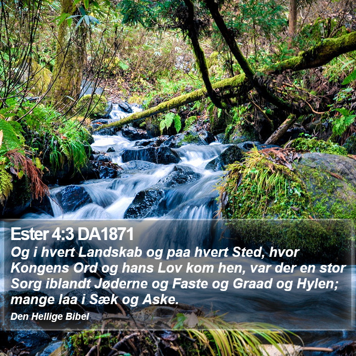 Ester 4:3 DA1871 Bible Study