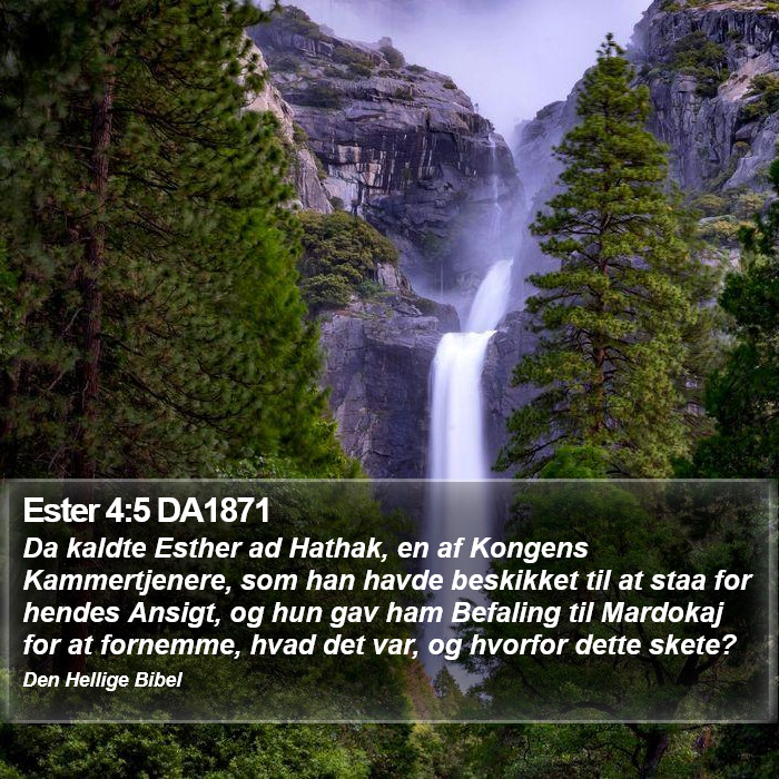 Ester 4:5 DA1871 Bible Study