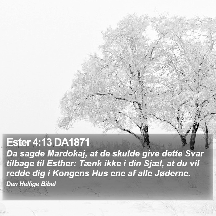 Ester 4:13 DA1871 Bible Study