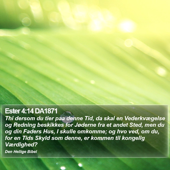 Ester 4:14 DA1871 Bible Study