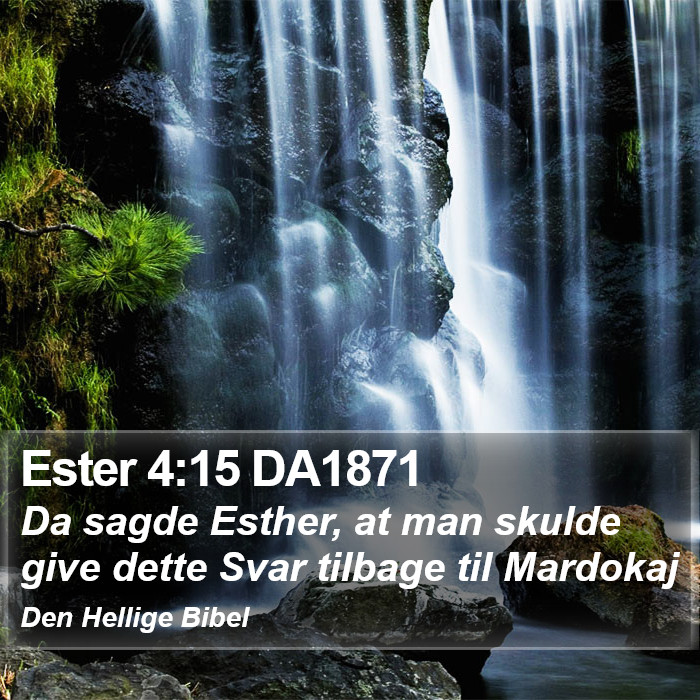 Ester 4:15 DA1871 Bible Study