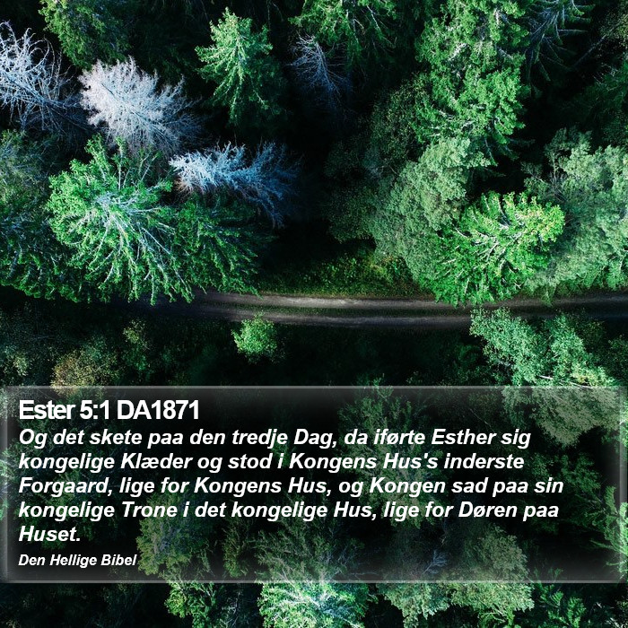 Ester 5:1 DA1871 Bible Study