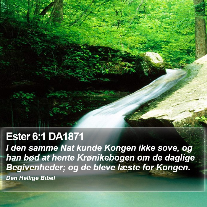 Ester 6:1 DA1871 Bible Study