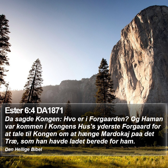 Ester 6:4 DA1871 Bible Study