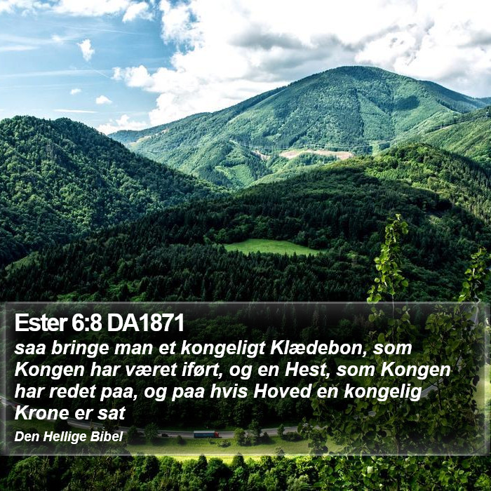 Ester 6:8 DA1871 Bible Study