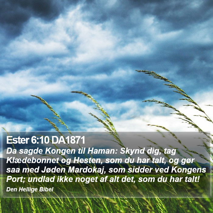 Ester 6:10 DA1871 Bible Study