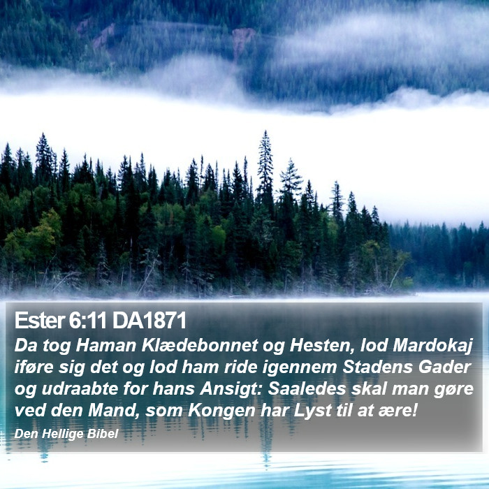 Ester 6:11 DA1871 Bible Study