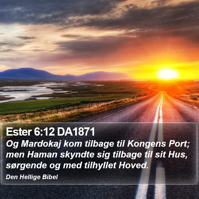 Ester 6:12 DA1871 Bible Study