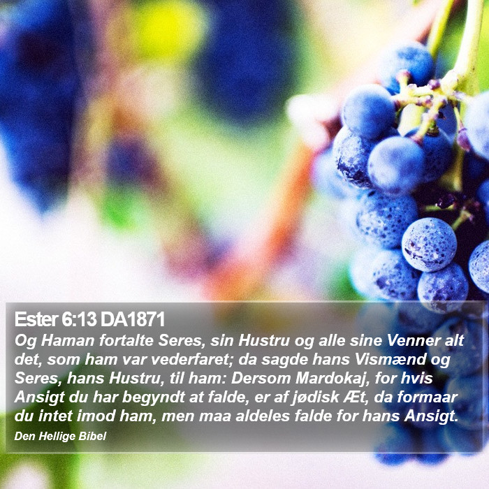 Ester 6:13 DA1871 Bible Study