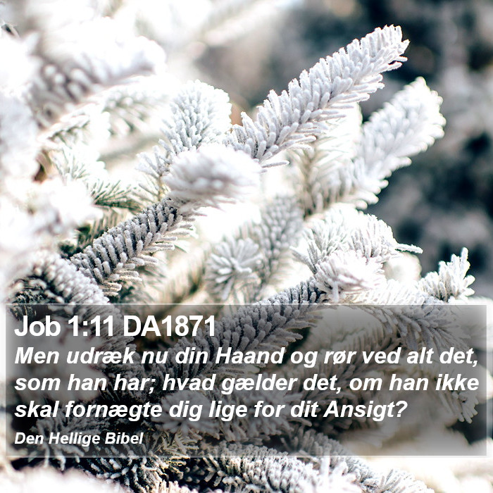 Job 1:11 DA1871 Bible Study