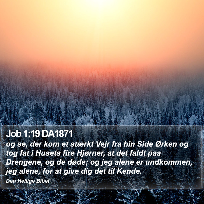 Job 1:19 DA1871 Bible Study