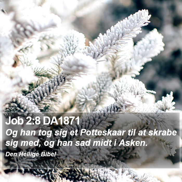 Job 2:8 DA1871 Bible Study