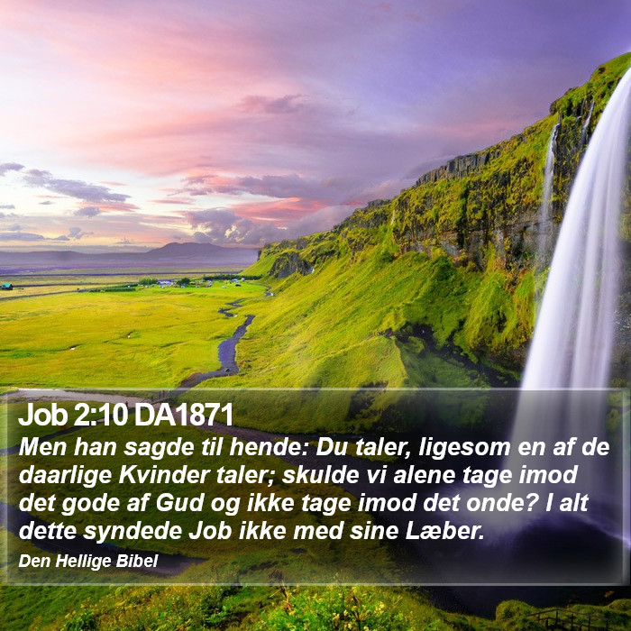 Job 2:10 DA1871 Bible Study