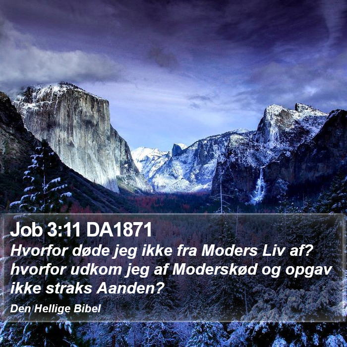 Job 3:11 DA1871 Bible Study