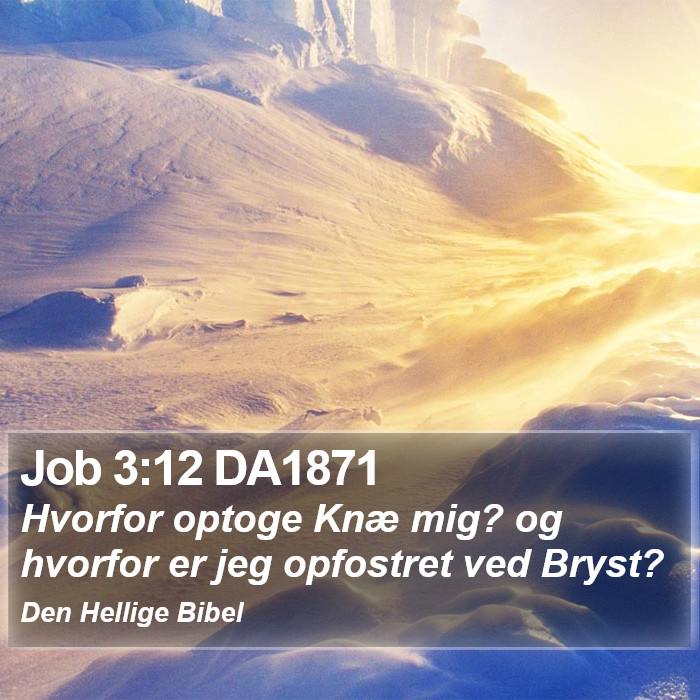 Job 3:12 DA1871 Bible Study