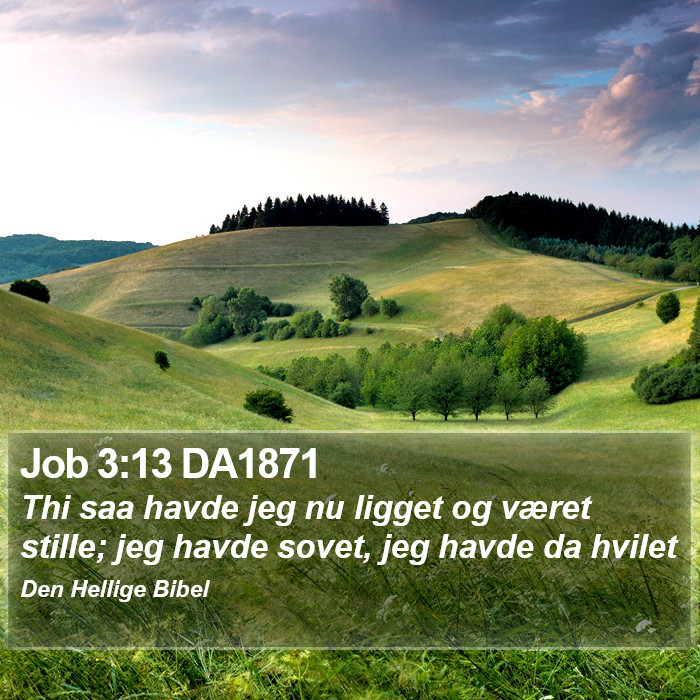 Job 3:13 DA1871 Bible Study