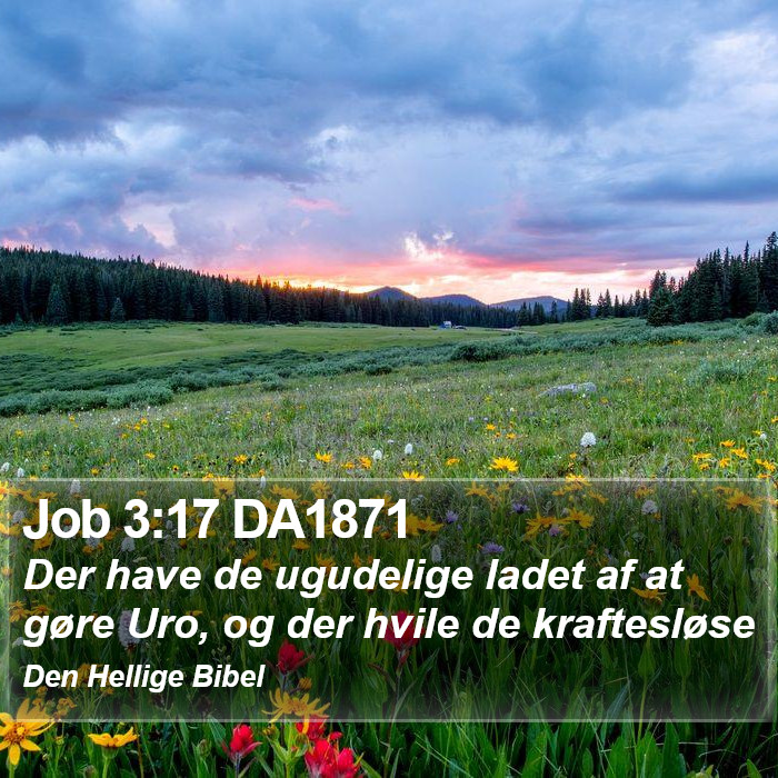 Job 3:17 DA1871 Bible Study