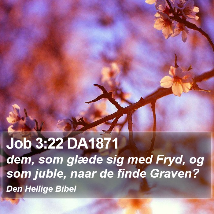 Job 3:22 DA1871 Bible Study