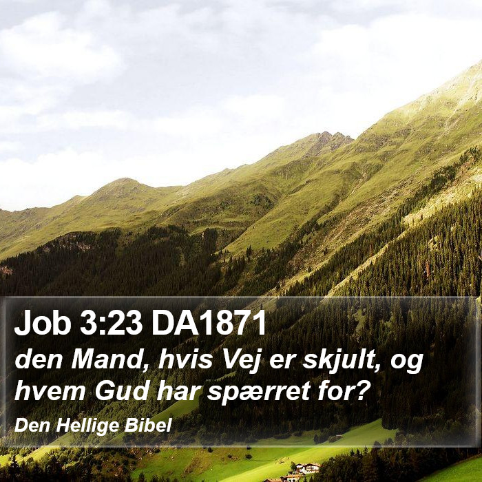 Job 3:23 DA1871 Bible Study