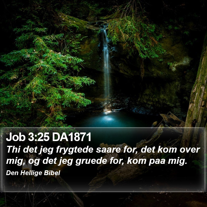 Job 3:25 DA1871 Bible Study