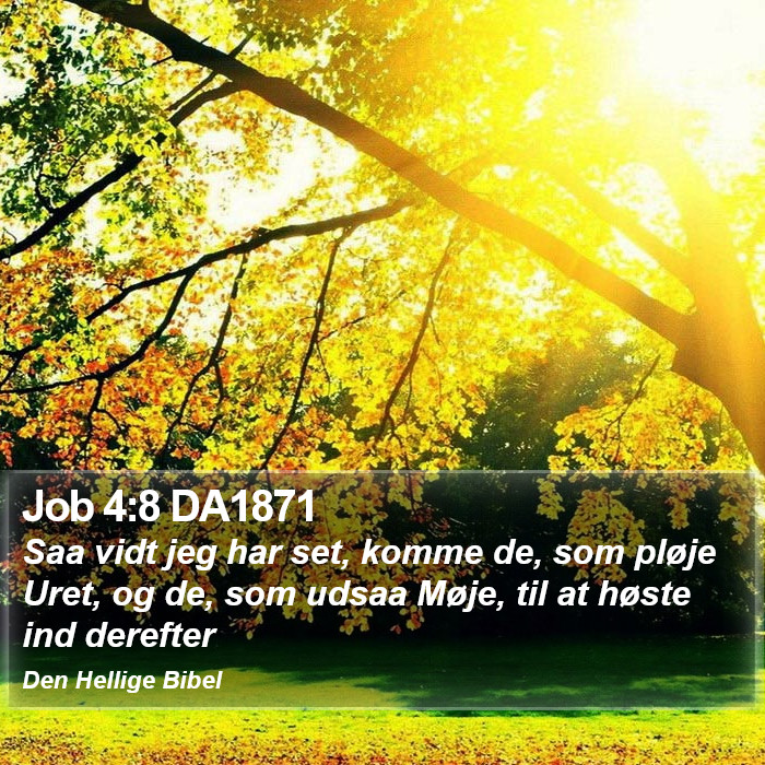 Job 4:8 DA1871 Bible Study