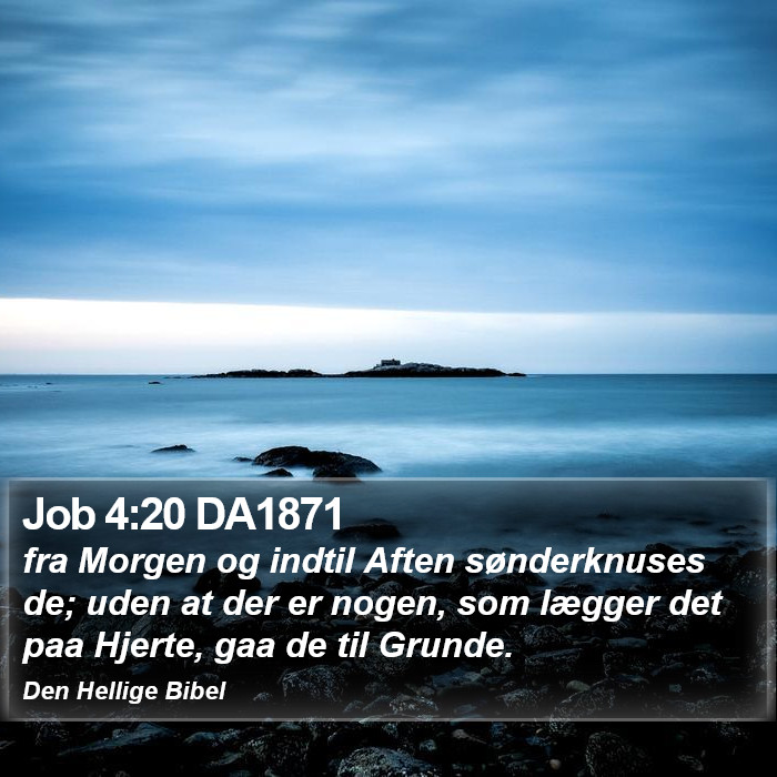 Job 4:20 DA1871 Bible Study