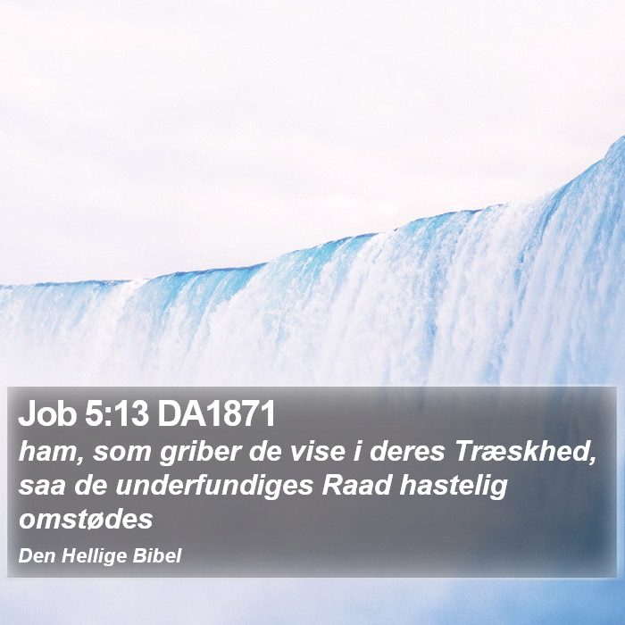 Job 5:13 DA1871 Bible Study