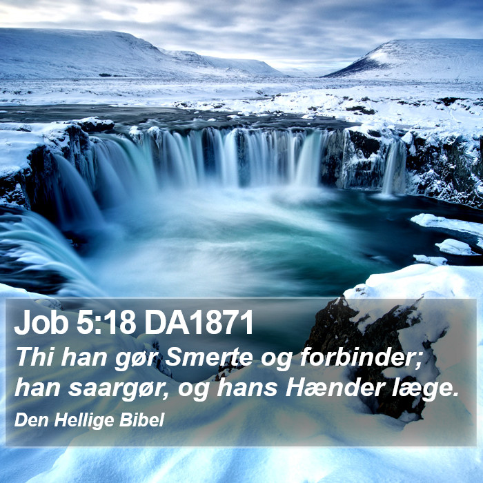 Job 5:18 DA1871 Bible Study