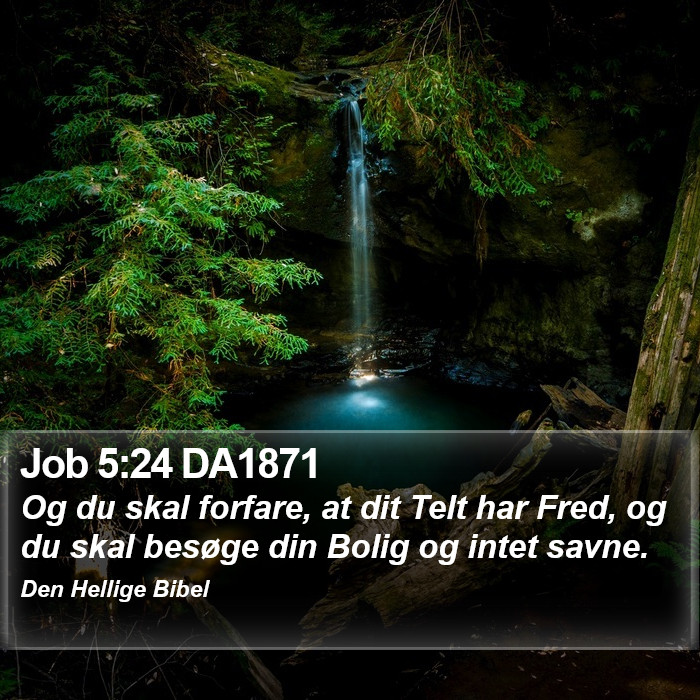 Job 5:24 DA1871 Bible Study