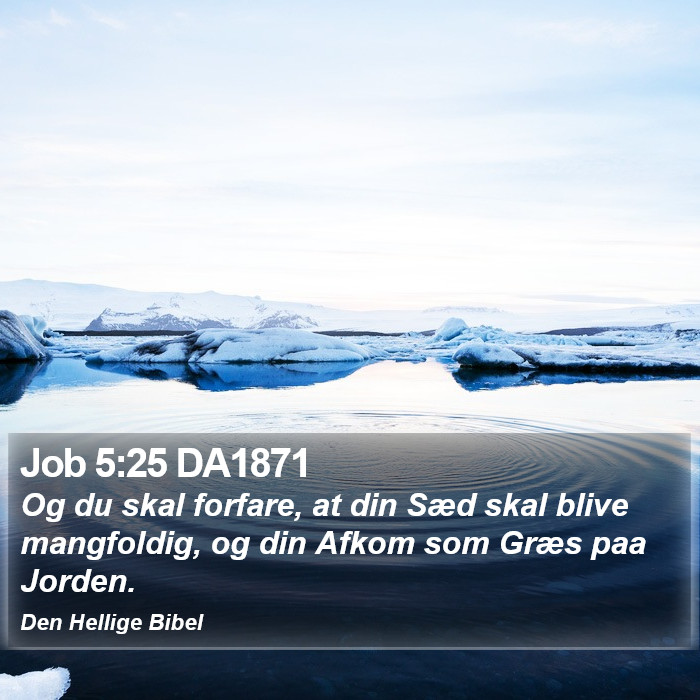 Job 5:25 DA1871 Bible Study