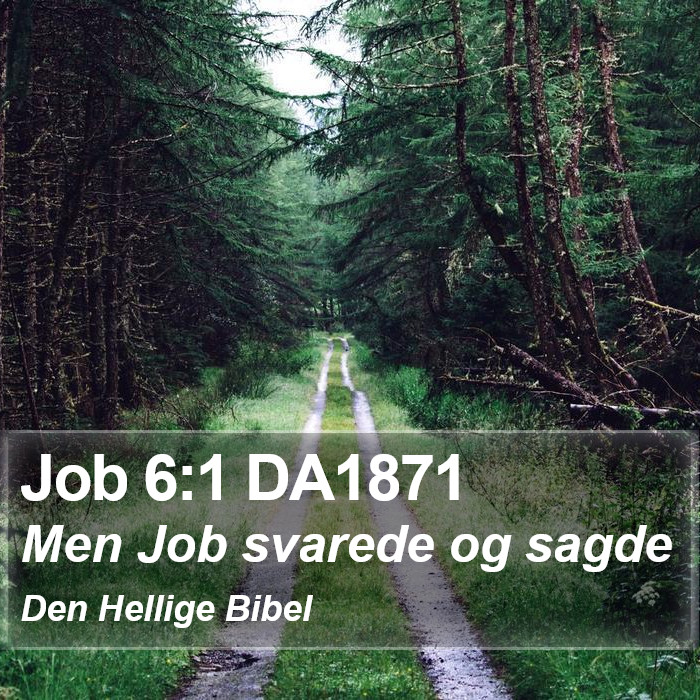 Job 6:1 DA1871 Bible Study