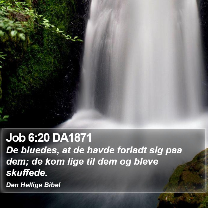 Job 6:20 DA1871 Bible Study