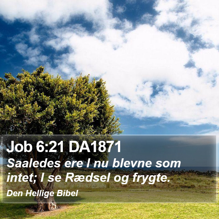 Job 6:21 DA1871 Bible Study