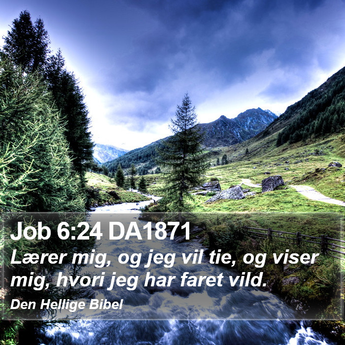 Job 6:24 DA1871 Bible Study