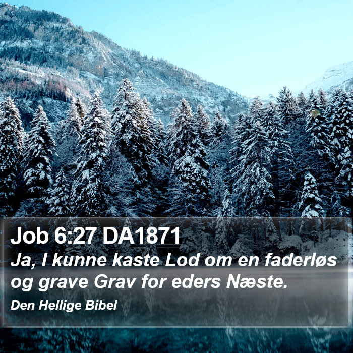 Job 6:27 DA1871 Bible Study