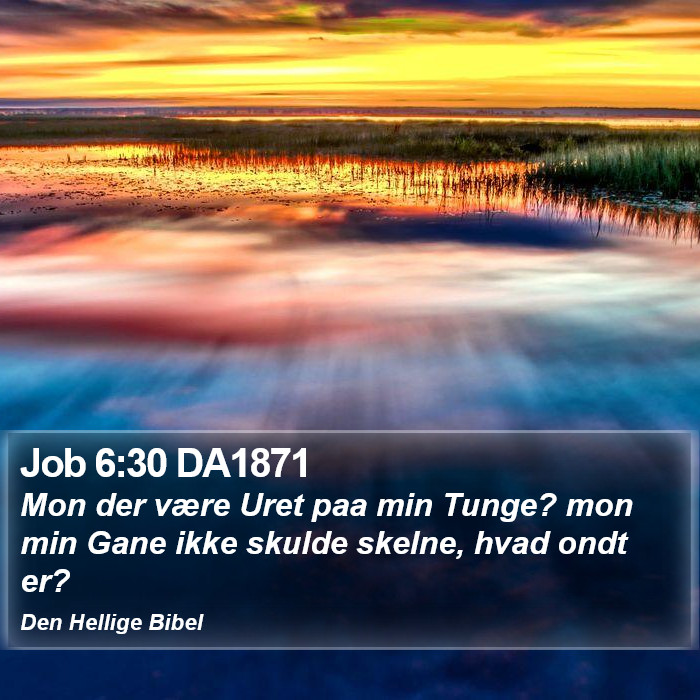 Job 6:30 DA1871 Bible Study