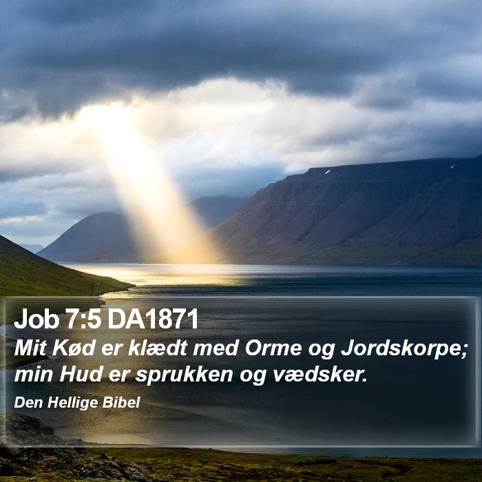 Job 7:5 DA1871 Bible Study