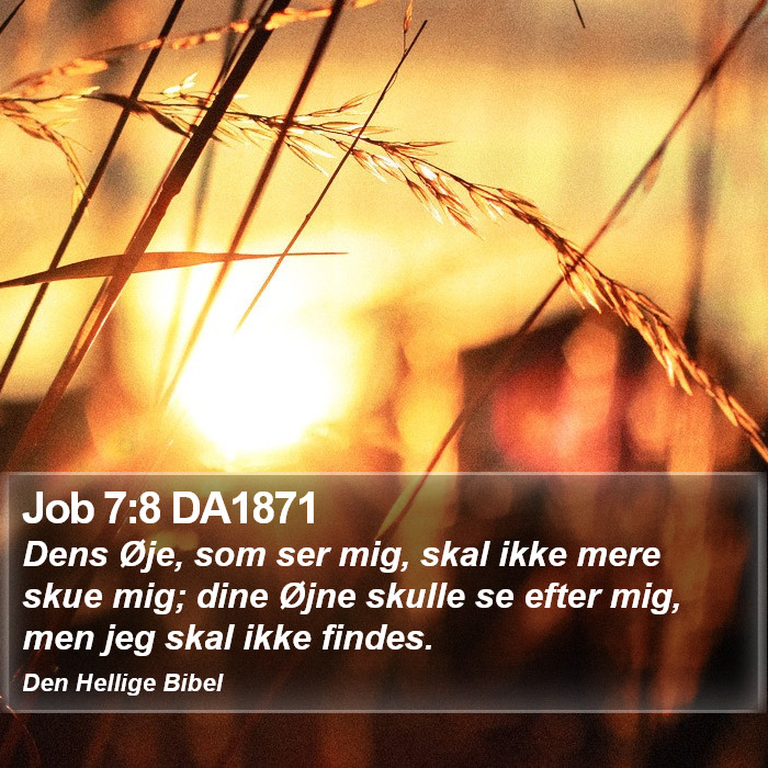 Job 7:8 DA1871 Bible Study