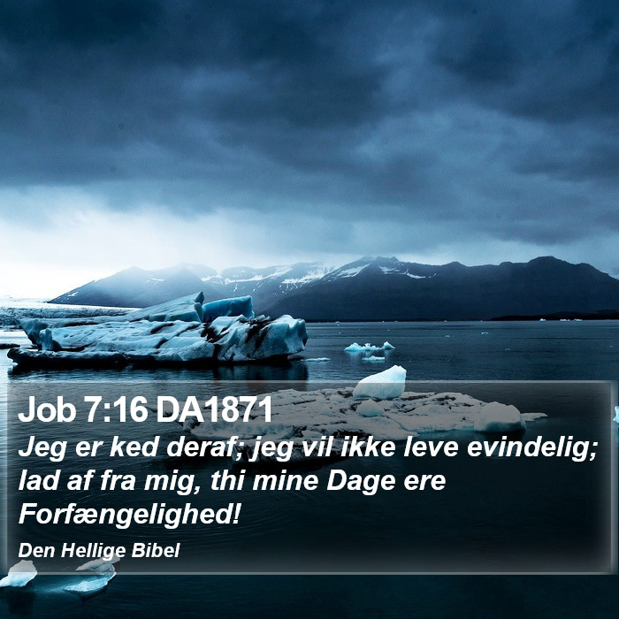 Job 7:16 DA1871 Bible Study